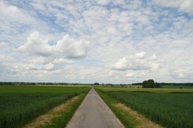 Yeşil çim tarlasından geçen bir yol. Gökyüzü bulutlu, ama güneş hala bulutların arasında parlıyor.