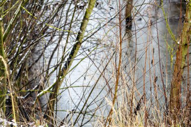Arka planda ağaçlar olan bir gölün bulanık görüntüsü. Su donmuş ve ağaçlar çıplak.