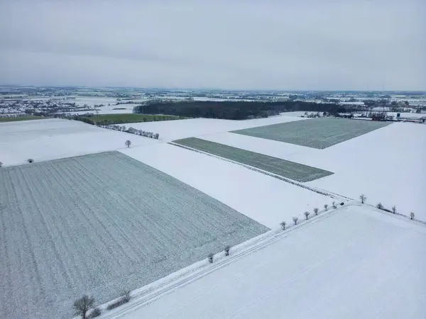 Arka planda birkaç ağaç olan karlı bir tarla. Gökyüzü bulutlu ve kar zemini kaplıyor.