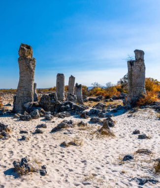 Bulgaristan 'ın Varna ilindeki Pobiti Kamania Taş Ormanı ve çöl manzarası