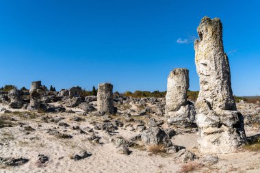 Bulgaristan 'ın Varna ilindeki Pobiti Kamania Taş Ormanı ve çöl manzarası
