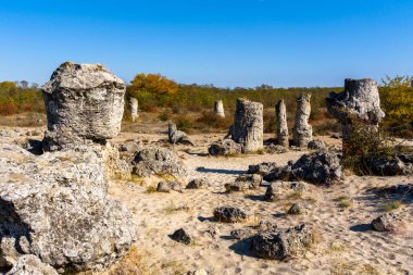 Bulgaristan 'ın Varna ilindeki Pobiti Kamania Taş Ormanı ve çöl manzarası