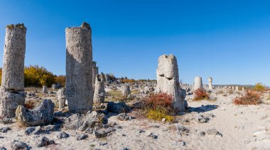 Bulgaristan 'ın Varna ilindeki Pobiti Kamania Taş Ormanı ve çöl manzarası