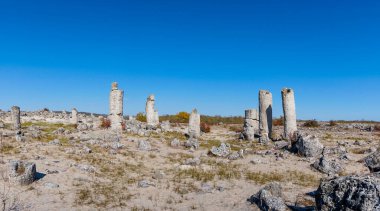 Varna yakınlarındaki Pobiti Kamani Çölü 'ndeki Taş Ormanı manzarası.
