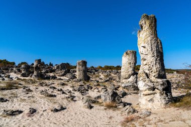 Bulgaristan 'ın Varna ilindeki Pobiti Kamania Taş Ormanı ve çöl manzarası