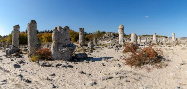 Eine Panoramalandschaft Des Steinwaldes Der Wüste Pobiti Kamani Bei Varna — Stockfoto
