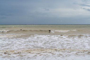 Birling Gap, Birleşik Krallık - 9 Eylül 2022: Doğu Sussex 'teki İngiliz Kanalı' nın fırtınalı denizlerinde dalgalı bir dalgada sörfçü