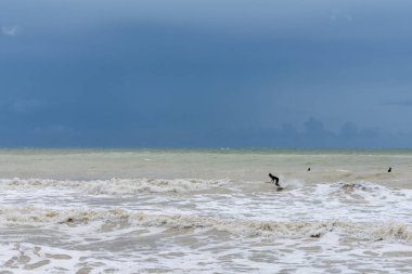 Birling Gap, Birleşik Krallık - 9 Eylül 2022: Doğu Sussex 'teki İngiliz Kanalı' nın fırtınalı denizlerinde dalgalı bir dalgada sörfçü