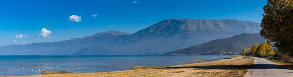 Панорама Пляжу Гір Поградек Південному Березі Озера Охрид Албанія — стокове фото
