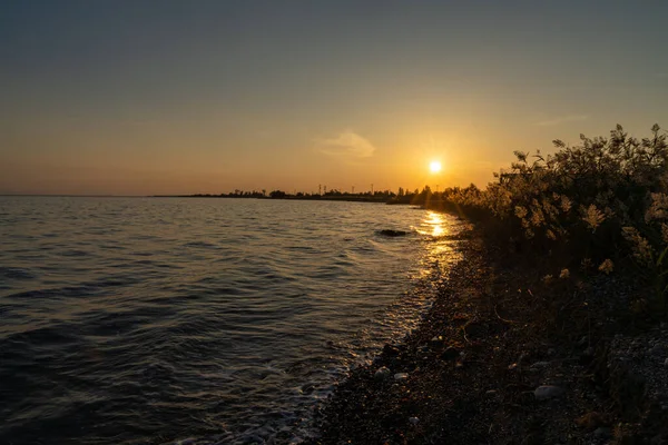 Warmer Sonnenuntergang Einem Felsigen Strand Der Griechischen Mittelmeerküste Mit Schilf — Stockfoto