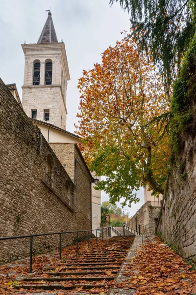 秋の紅葉に覆われた狭い路地や階段は スポルト大聖堂につながります — ストック写真