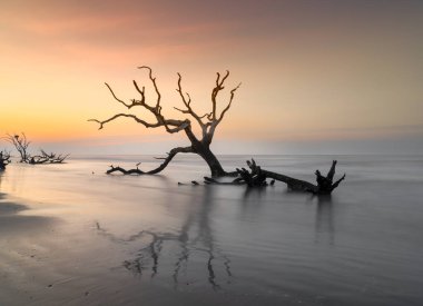 Güney Carolina 'da Boğa Adası' ndaki Boneyard Sahili 'nde gün doğumunda meditasyon yapan deniz manzarası.