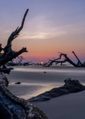 Güneşin battığı gün doğumu manzarası ölü ağaçlar ve dallarla dolu bir sahilde ufukta.