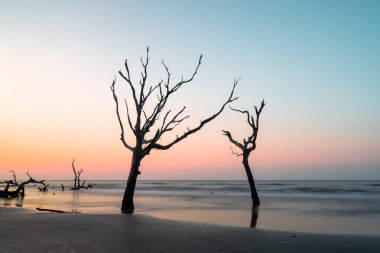 Güney Carolina 'da Boğa Adası' ndaki Boneyard Sahili 'nde gün doğumunda meditasyon yapan deniz manzarası.