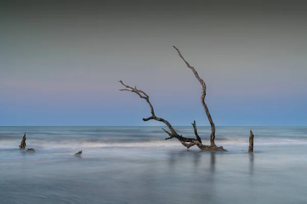 日の出にサウスカロライナ州のブル島のボニヤードビーチで瞑想的な海景 — ストック写真
