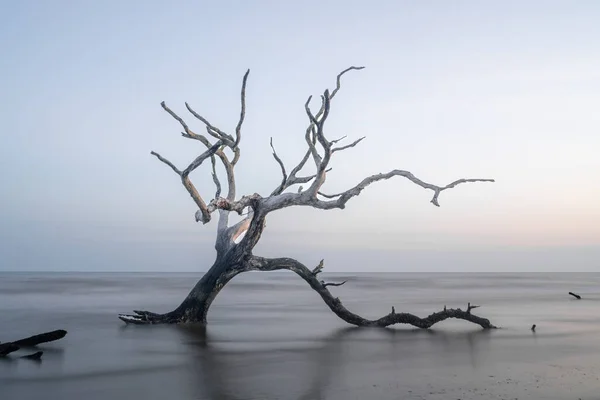 stock image meditative seascape at Boneyard Beach on Bull Island in South Carolina at sunrise