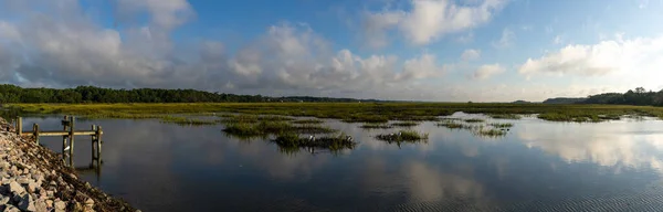 Uma Paisagem Panorâmica Marés Pântanos Pawleys Island Carolina Sul — Fotografia de Stock