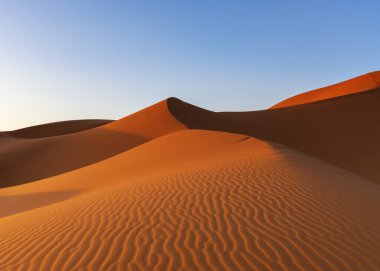 A view of the sand dunes at Erg Chebbi in Morocco in warm evening light clipart