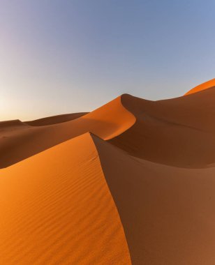vertical view of the sand dunes at Erg Chebbi in Morocco in warm evening light clipart