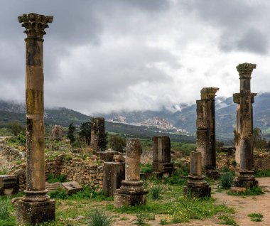 Volubilis, Fas - 3 Mart 2024: Kuzey Fas 'taki Meknes yakınlarındaki Volubilis kenti kalıntılarının manzarası