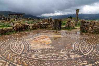 Volubilis, Fas - 3 Mart 2024: Meknes yakınlarındaki Kuzey Fas 'ta Volubilis' in Roma şehir harabelerindeki karmaşık zemin mozaiklerinin ayrıntılı görünümü