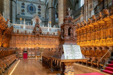 Salamanca, İspanya - 9 Nisan 2024: Salamanca 'daki Yeni Katedral' in retrokorosu