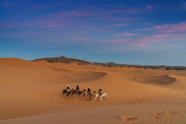 Merzouga, Fas - 9 Mart 2024: Berber rehberi, Fas 'taki Sahra Çölü' nde gün batımında bir turist grubuna önderlik ediyor.