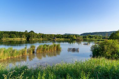 İzlanda 'nın ikonik Vestrahorn dağının dikey görüntüsü sabahın erken saatlerinde gelgit havuzlarına yansıyor.