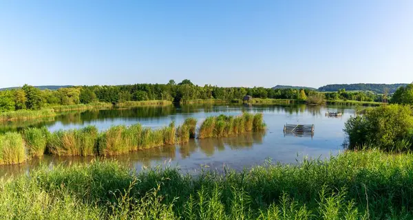 İzlanda 'nın ikonik Vestrahorn dağının dikey görüntüsü sabahın erken saatlerinde gelgit havuzlarına yansıyor.