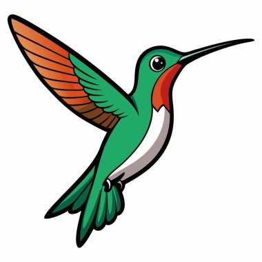 Bir sinekkuşunun vektör çizimi