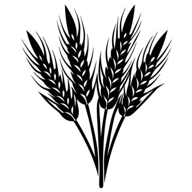 Vektör illüstrasyonunda canlı buğday kulakları sergileniyor, doğal detaylarla zarif bir şekilde düzenlenmiş. Her kulak, organik güzelliğini vurgulayarak, sıcak bir altın rengi ve karmaşık bir dokuya sahiptir.