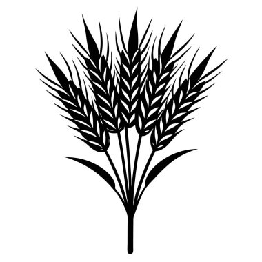 Buğday kulağı vektör simgesi. vektör simgesi logosu beyaz arkaplan buğdayında izole edildi.