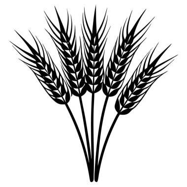 Buğday kulak simgesi, vektör