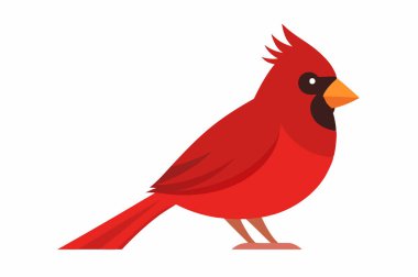 Kırmızı kardinal kuş karikatür simgesi beyaz arkaplan vektör resimleme izole