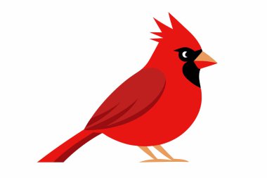 Beyaz arkaplanda izole edilmiş düz bir kardinal kuşun vektör çizimi