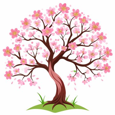 kiraz ağacı, vektör illüstrasyonu