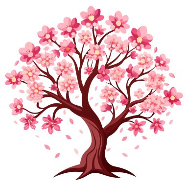 Beyaz arkaplanda izole edilmiş kiraz ağacı çiçeği