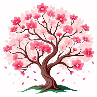 Kırmızı çiçekli ağaç