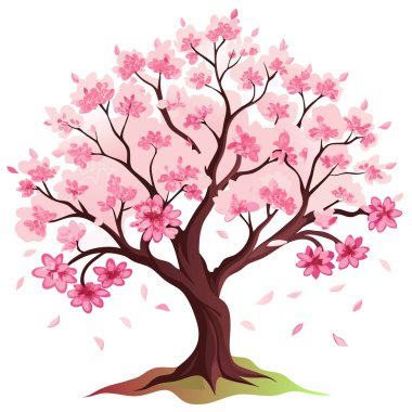 pembe çiçekli kiraz ağacı