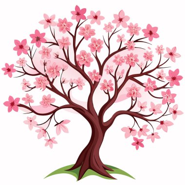 Ağaçlı pembe sakura çiçeği