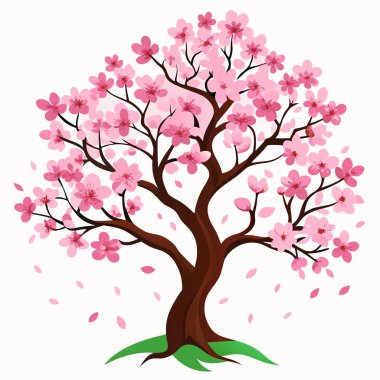 Beyaz arkaplan vektör illüstrasyonunda ağaç çiçeği pembe çiçekler