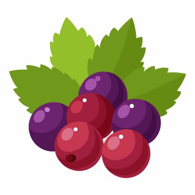 izole üzüm ikonu vektör tasarımı