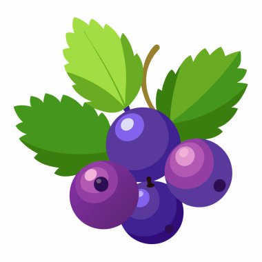 Beyaz zemin üzerinde izole üzümler