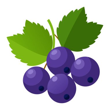 Yapraklı taze üzümler.