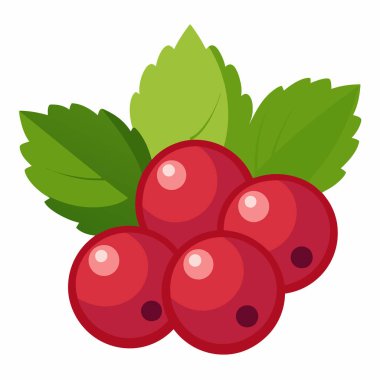 Yapraklı taze ahududu meyvesi, izole edilmiş ikon