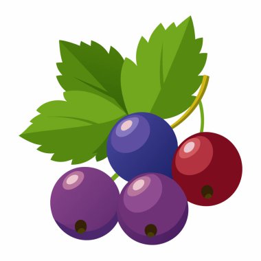 İzole edilmiş dut ve yaprak işareti. Ağ için böğürtlen ve böğürtlen sembolü koleksiyonu.