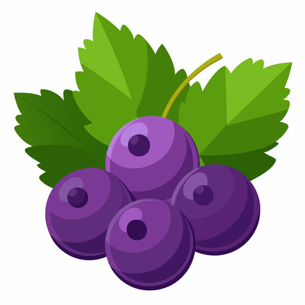 Свежий виноград с листьями