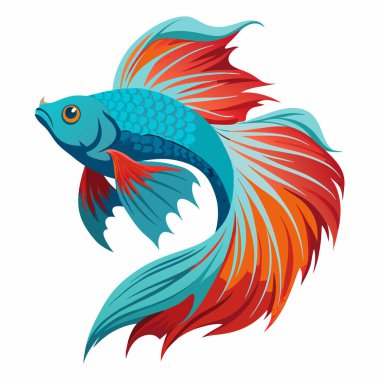 kırmızı balık, vektör illüstrasyonu