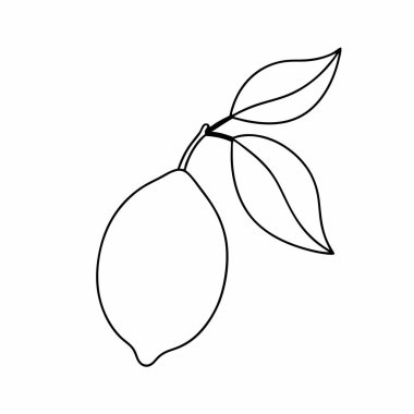 mango meyvesi taze izole edilmiş simge