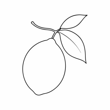 mango meyvesi taze meyve izole edilmiş ikon